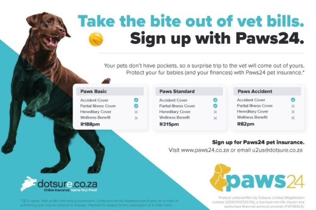 DOTSURE PROMOTES HOLLARD’S PAWS24 AS ITS OWN