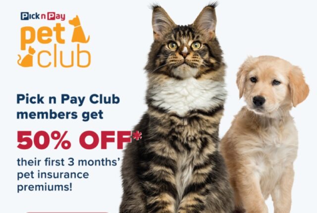 Dotsure partners with Pick n Pay to offer pet insurance discounts